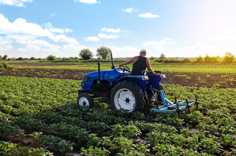A blue two-wheel drive farm tractor parked on a field, showcasing its robust design and agricultural utility.