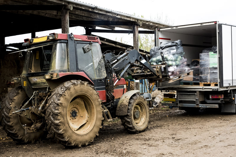A farm tractor is loading a pallet with agricultural goods, showcasing the machinery's efficiency in farm operations.