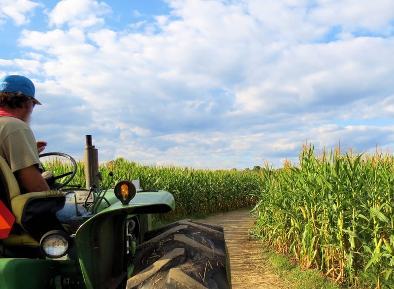 Close-up view of a diesel farm tractor, highlighting the robust engine and efficient fuel system designed for heavy agricultural work.