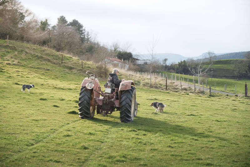 A farm tractor equipped with a roll-over protective structure (ROPS) and operating on stable, level ground to prevent rollovers.
