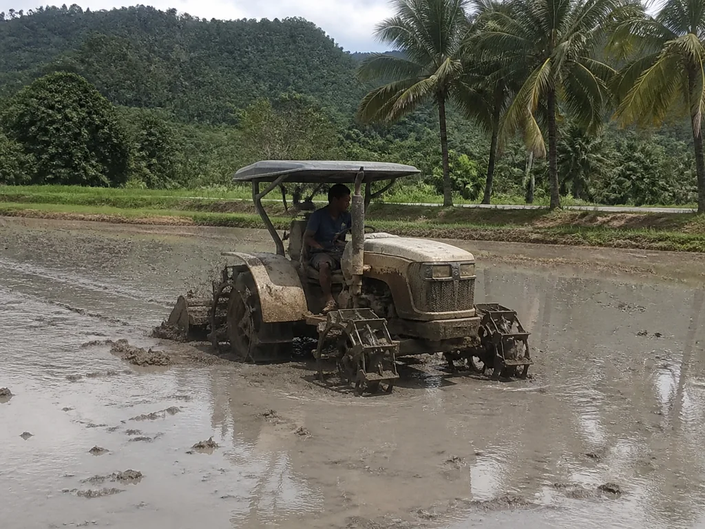 Why Is Wet Paddy the Strongest 4WD Case?
